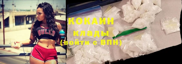 винт Новокубанск