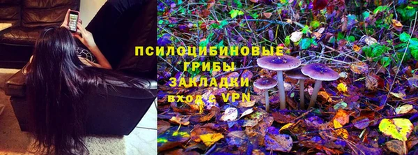 ALPHA PVP Новозыбков