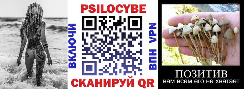 Галлюциногенные грибы Cubensis  Пойковский 
